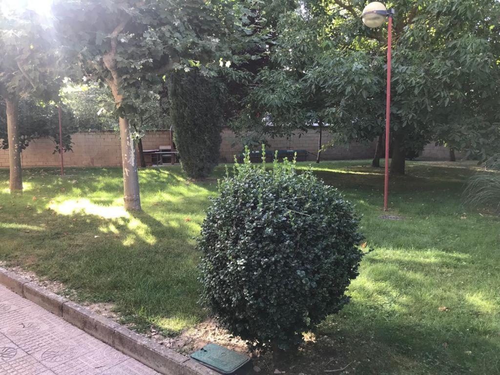 Residencia Hospital Del Rey Hostel Burgo Kültér fotó